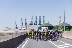peloton cruisin through the Port of Antwerp 

Exterioo Cycling Cup
Antwerp Port Epic 2022 (BEL)
One day race from Antwerp to Antwerp 181km 

©rhodevanelsen