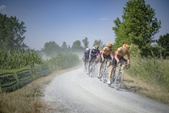 Team Uno-X plowing through the dust on this very hot day (31°C) Dwars door het Hageland 2023 (1.Pro) One day race from Aarschot to Diest (BEL/177km, with 41km of gravel sections)©kramon