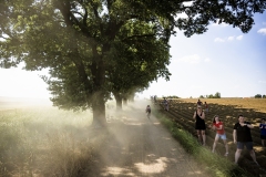 plowing through the dust on this very hot day (31°C) 

Dwars door het Hageland 2023 (1.Pro) 
One day race from Aarschot to Diest (BEL/177km, with 41km of gravel sections)

©kramon