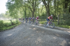 Dwars door het Hageland 2023 (Elite Women/1.1) 
One day race from Aarschot to Diest (BEL/122km, with lots of gravel sections)

©kramon