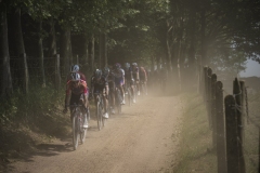 Dwars door het Hageland 2023 (Elite Women/1.1) 
One day race from Aarschot to Diest (BEL/122km, with lots of gravel sections)

©kramon