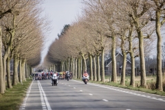 peloton 

Exterioo Cycling Cup
11th GP Monseré 2022 (BEL)
One day race from Hooglede to Roeselare 

©rhodephoto