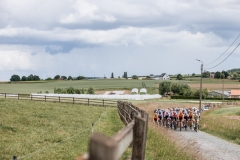 Exterioo Cycling Cup GP Marcel Kint 2022 (BEL)One day race from Kortrijk to Zwevegem ©rhodevanelsen