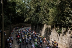 20240815 – LottoCyclingCup – Tour of Leuven Memorial Jef Scherens©rhodevanelsen