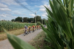 20240815 – LottoCyclingCup – Tour of Leuven Memorial Jef Scherens©rhodevanelsen