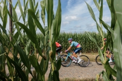 20240815 – LottoCyclingCup – Tour of Leuven 
Memorial Jef Scherens

©rhodevanelsen